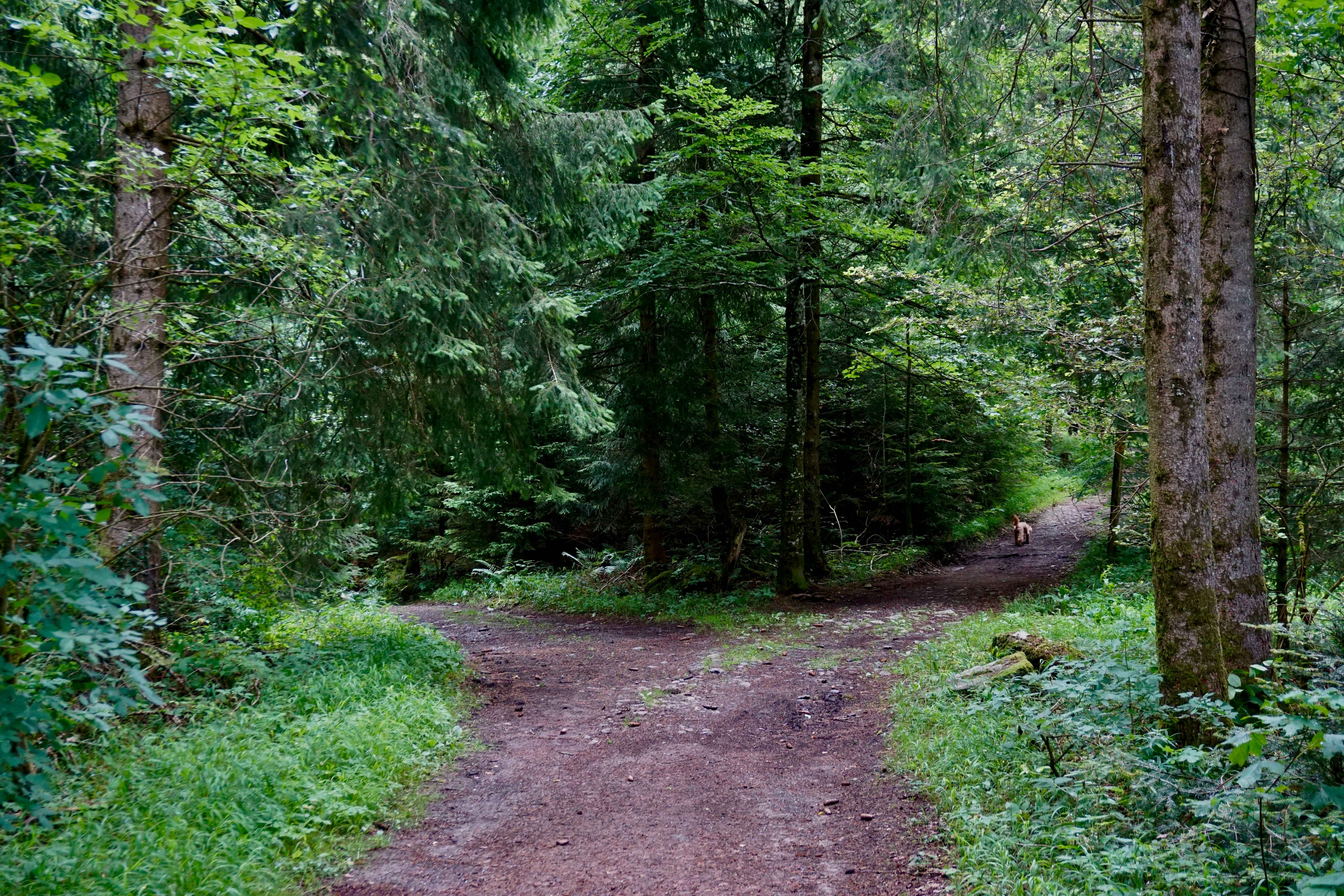 Photo by Beth MacDonald on Unsplash